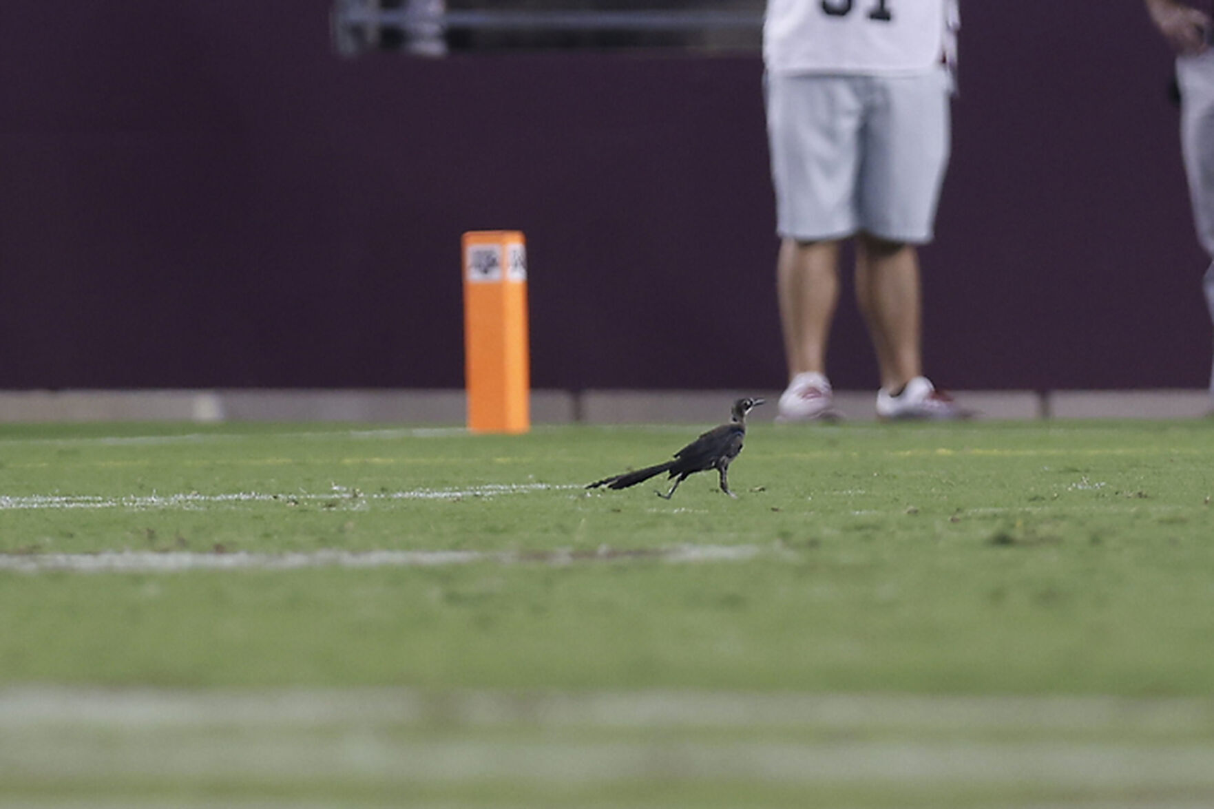 Texas A&M vs Mississippi State
